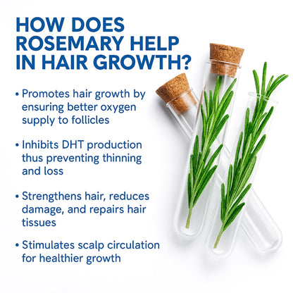 Hair Serum Roll3